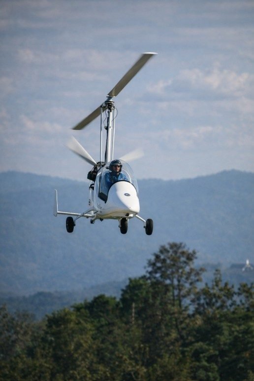 Low over the trees
